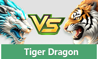 Dragon vs Tiger