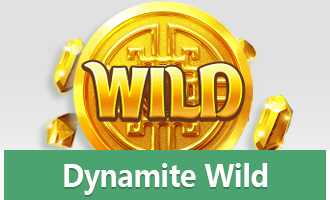 Dynamite Wild